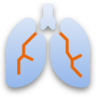 Respiratory rate